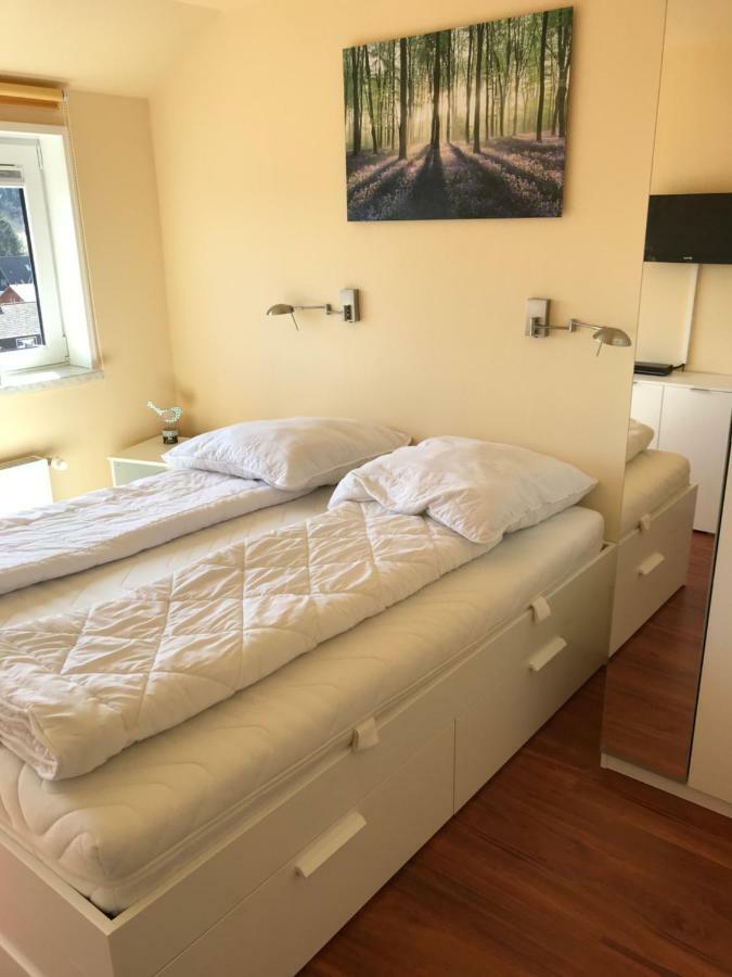 Ferienwohnung Jule Braunlage Bagian luar foto