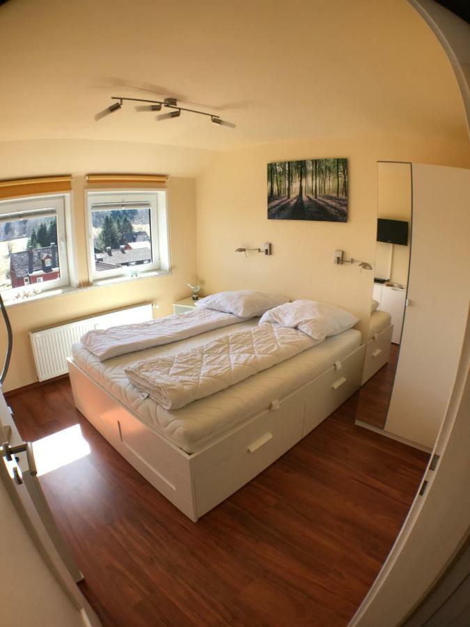 Ferienwohnung Jule Braunlage Bagian luar foto